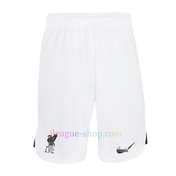 リバプールアウェイユニフォーム22 23プレイヤーバージョン J League Shop